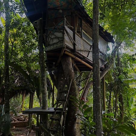 Sitio Simple Life Bed and Breakfast Ubatuba Exteriör bild