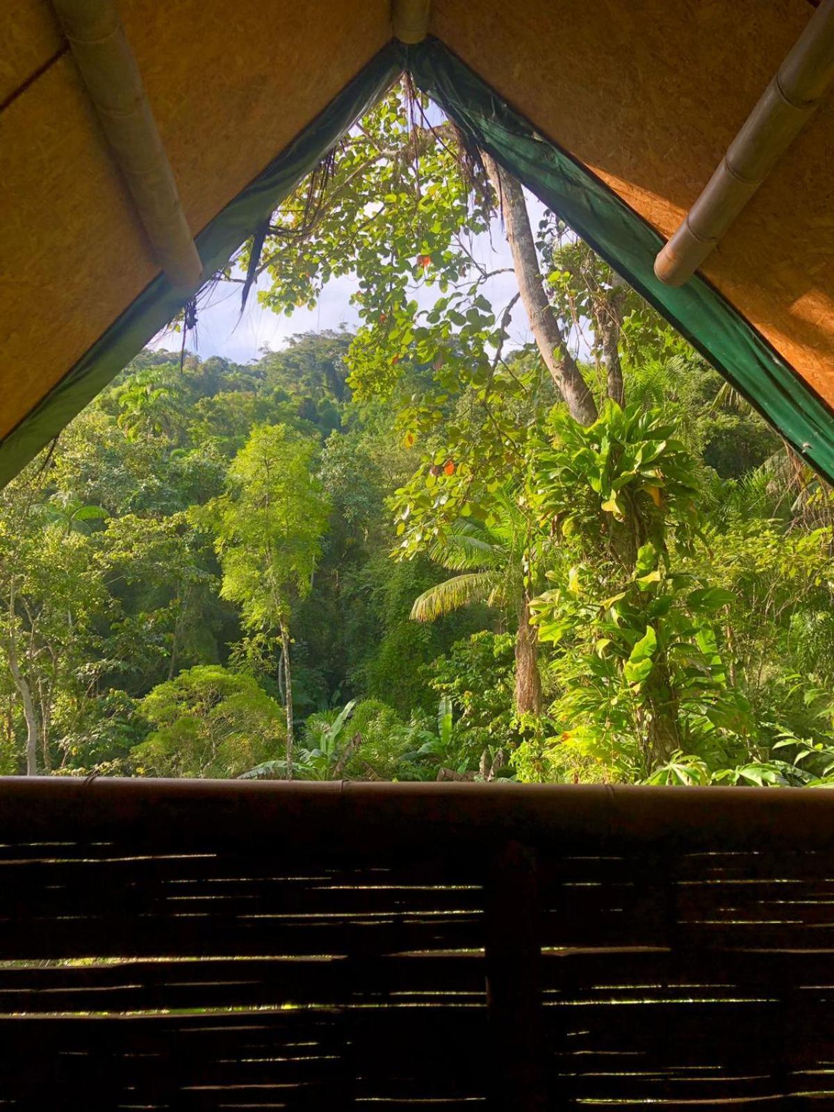 Sitio Simple Life Bed and Breakfast Ubatuba Exteriör bild